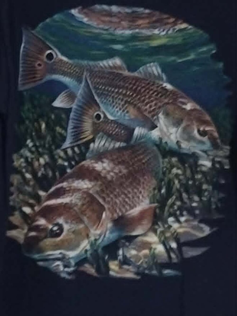 men M - Outback America Red Bass Navy Blue Short Sleeve T shirt - Flawed